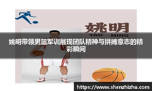 星空·综合体育官方网站